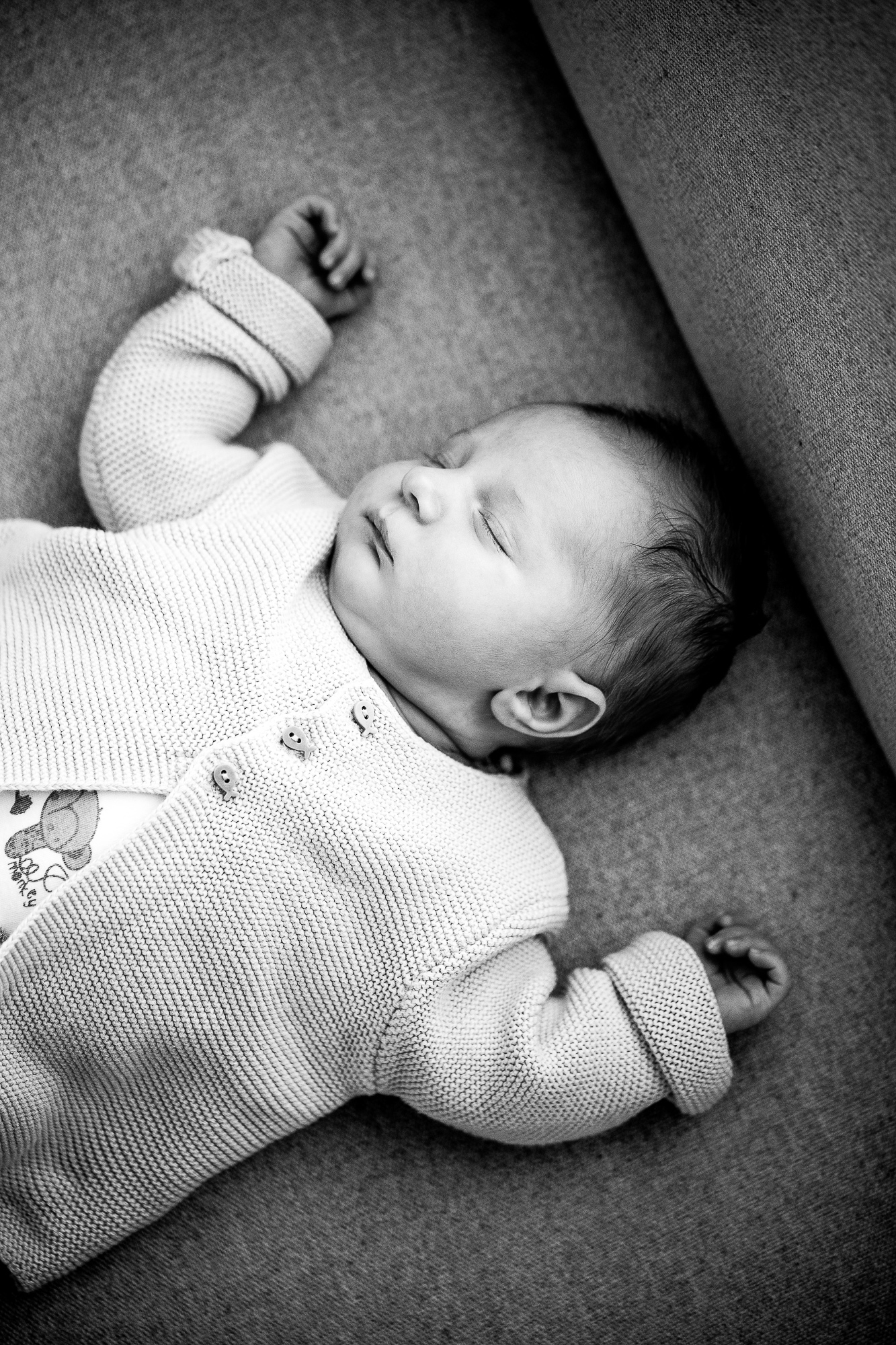 Export x3 1DX28354 Bearbeitet Familienfotoshooting 2019 Hefti 2